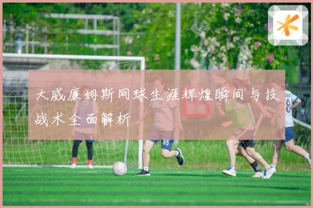大威廉姆斯网球生涯辉煌瞬间与技战术全面解析