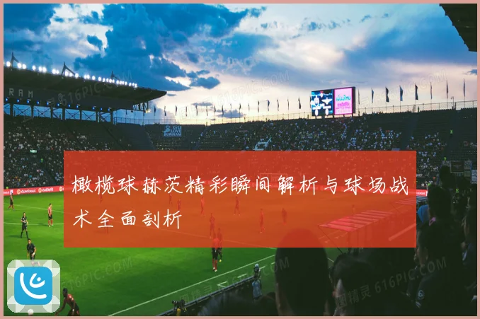 橄榄球赫茨精彩瞬间解析与球场战术全面剖析