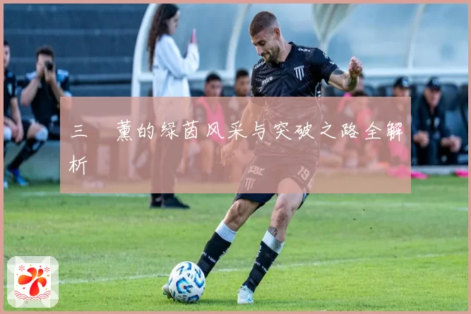 三笘薰的绿茵风采与突破之路全解析