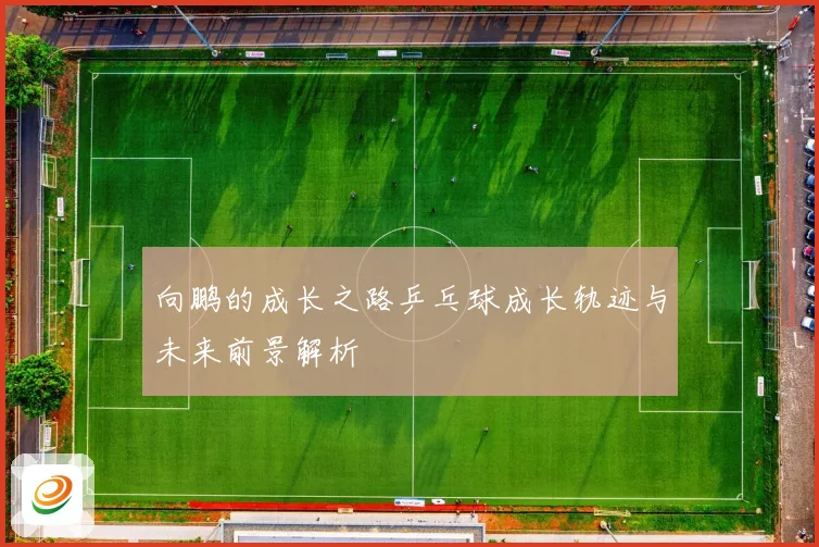 向鹏的成长之路乒乓球成长轨迹与未来前景解析