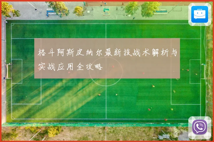 格斗阿斯皮纳尔最新技战术解析与实战应用全攻略