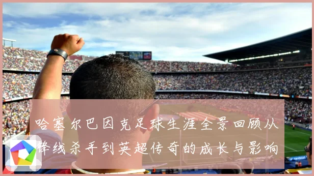 哈塞尔巴因克足球生涯全景回顾从锋线杀手到英超传奇的成长与影响