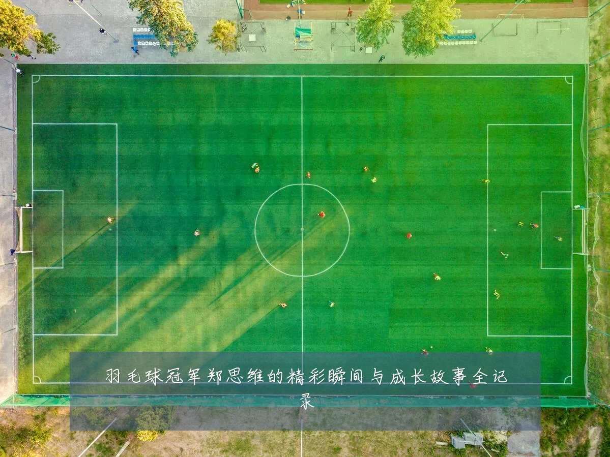 羽毛球冠军郑思维的精彩瞬间与成长故事全记录