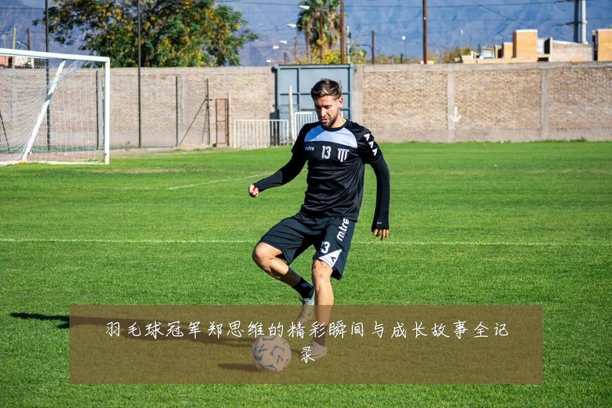 羽毛球冠军郑思维的精彩瞬间与成长故事全记录