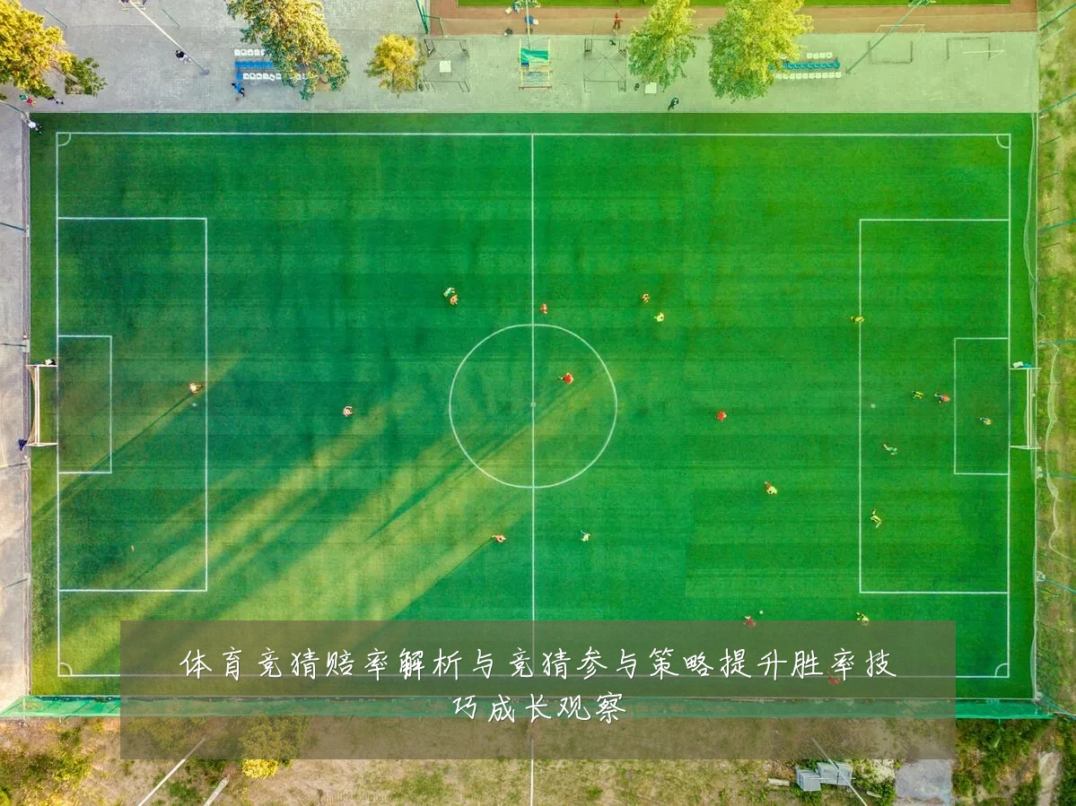 体育竞猜赔率解析与竞猜参与策略提升胜率技巧成长观察