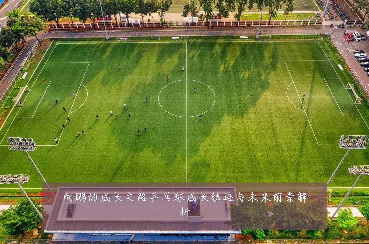 向鹏的成长之路乒乓球成长轨迹与未来前景解析