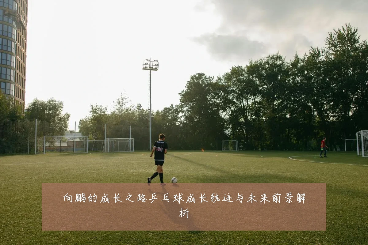 向鹏的成长之路乒乓球成长轨迹与未来前景解析